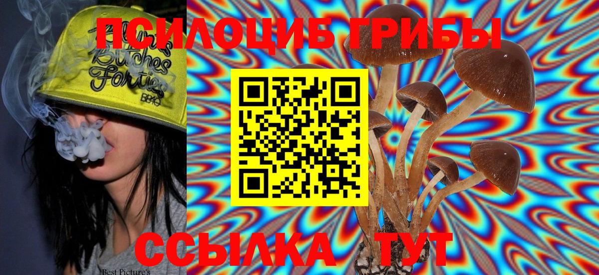 Бугуруслан  Псилоцибиновые грибы Psilocybe  купить   Вход с VPN 